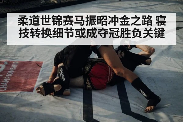 judo competition match